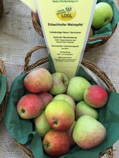 Erbacher Weinapfel.jpg